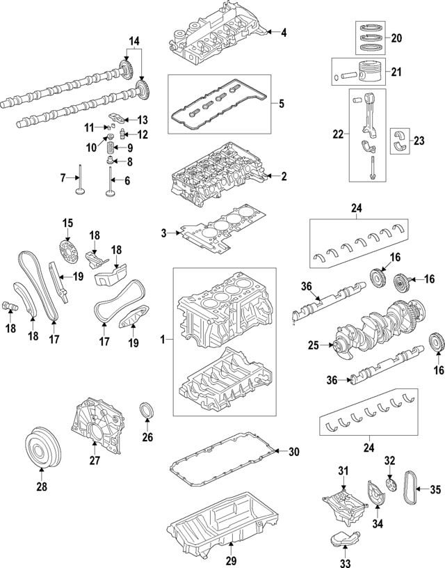 Timing Chain 11318570649