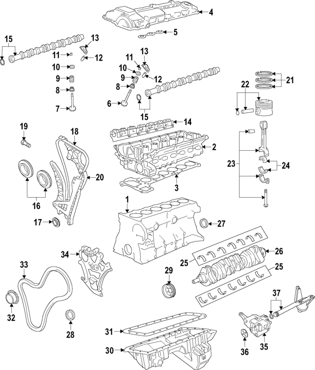 Timing chain 11318618317