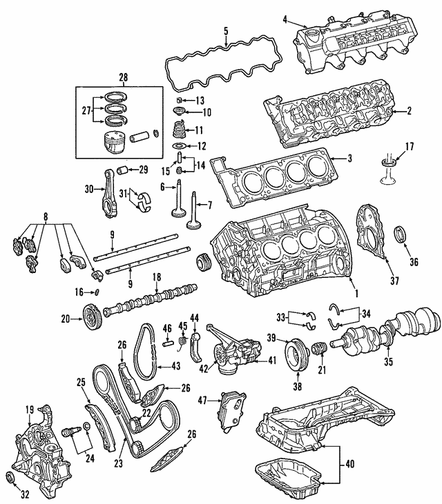 Timing Chain A0039976894