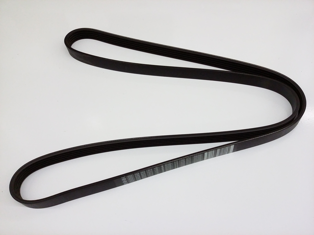 Serpentine Belt 038903137T