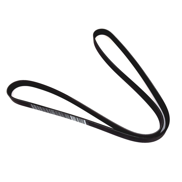 Serpentine Belt 038903137T