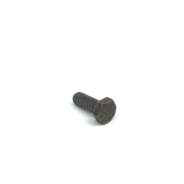 Screw N01024016