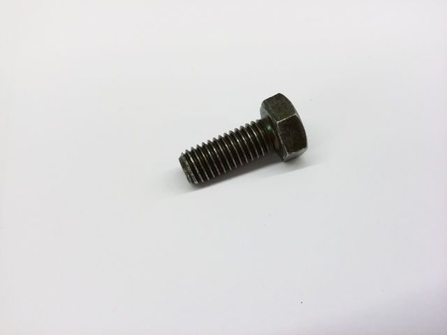 Screw N01024016